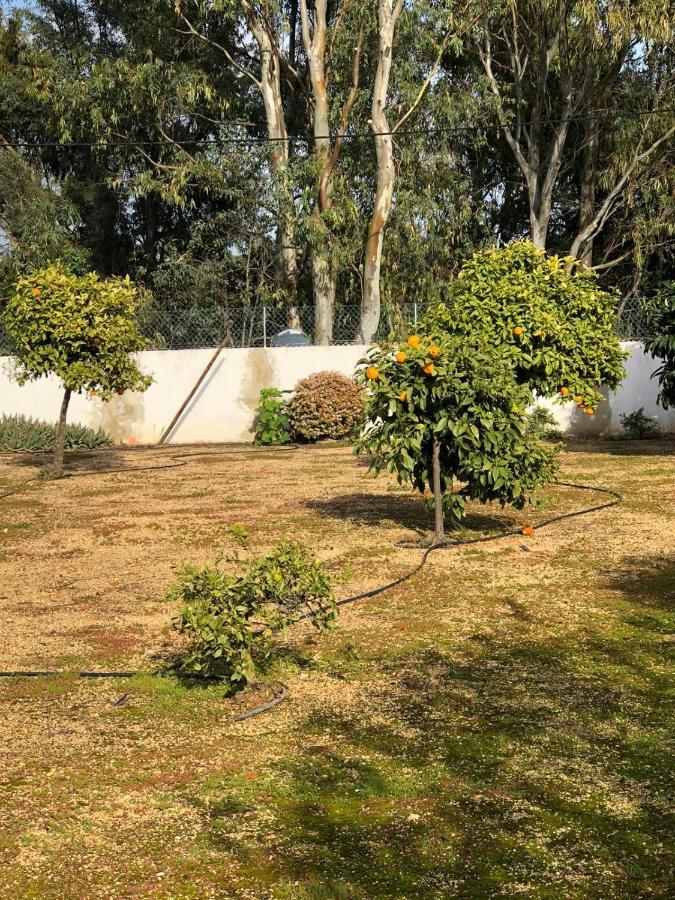 Quinta Verde อัลบูเฟรา ภายนอก รูปภาพ